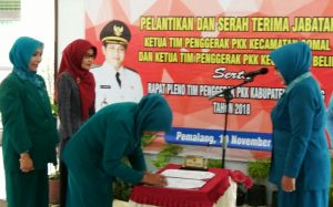 Camat Baru, Ketua TP PKK Baru