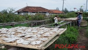 Wow, Nilai Ekspor Kota Pekalongan Tembus USD22,926 Juta