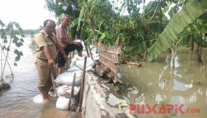 Ratusan Rumah dan Puluhan Hektare Sawah di Rembun Pekalongan Terendam Banjir