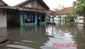 Banjir Rendam Ratusan Rumah di Kota Pekalongan, 250 Warga Mengungsi