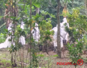 Bertambah lagi, Pasien PDP asal Pemalang Meninggal