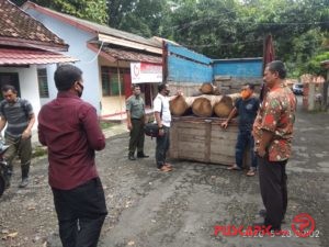 Curi Kayu Jati, Suami-Istri Ditangkap Petugas KPH
