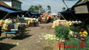 Stok Melimpah, Harga Kubis di Pemalang Anjlok