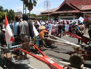 Kelangkaan Pupuk di Pemalang Terjawab, Ini Penjelasannya