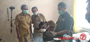Hari Ini, di Pemalang Puluhan Kucing dan Anjing Divaksin Rabies