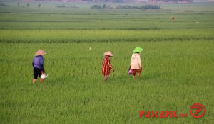 Di Kota Pekalongan, HPS Tahun Ini Digelar Sederhana