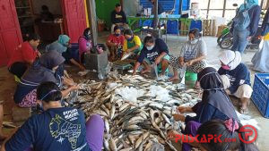 Tambah Penghasilan Saat Pendemi, Ibu-ibu di Pemalang Sortir Sayuran dan Ikan