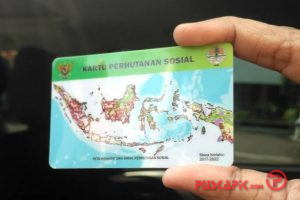 Petani Hutan Sosial Kini Dapat Kuota Pupuk Subsidi