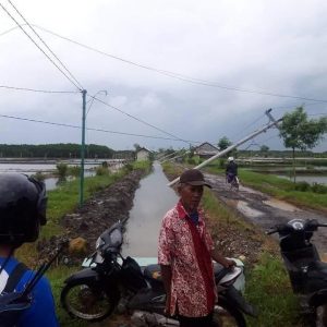 Diterpa Hujan Angin Kencang, 9 Tiang Listrik di Pemalang Rubuh