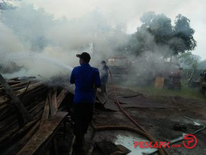 Gara-Gara Usir Tawon Pakai Api, Gudang Kayu di Tegal Terbakar