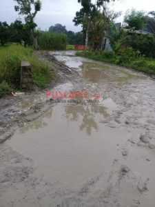 Viral, Jalan Rusak Parah Mirip Sawah, Warga Pemalang Gotong-Royong