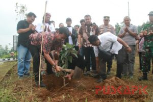 Peringati Hari Lahan Basah Sedunia, Petani 3 Daerah Tanam Bawang Putih di Pemalang