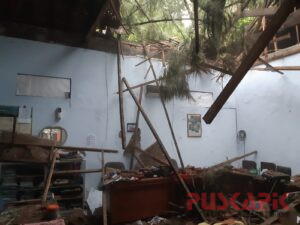 Kantor Disparpora Pemalang Porak Poranda Tertimpa Pohon Cemara Raksasa