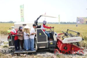 Pemalang Ikut Andil Panen Padi Nusantara Satu Juta Hektare