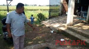 Viral! Ayah Muda di Pemalang Banting Bayinya Hingga Tewas