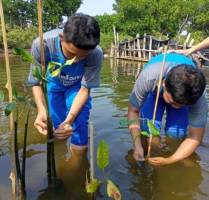 Jaga Kelestarian Alam, Siswa SMP di Slawi Tanam Mangrove di Pantai Komodo
