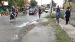 VideoCapture_20241017-184421