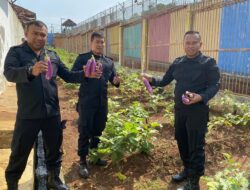 Dari Lahan Tidur ke Lumbung Pangan, Jadikan Kisah Inspiratif Lapas Batang