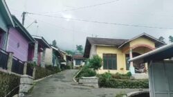 IMG-20241130-WA0027