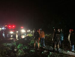 Pohon Tumbang Tutup Jalan Utama Pemalang Selatan, Satu Orang Terluka