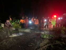 Hadapi Cuaca Ekstrem, BPBD Pemalang Imbau Warga Waspada Pohon Tumbang