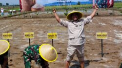 IMG-20241219-WA0056