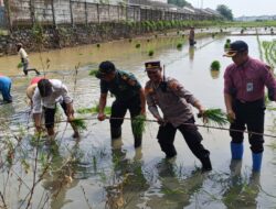 Dukung Asta Cita, Lahan Produktif di Batang Dioptimalkan