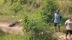 Apes, Niat Begal Motor Pria Ini Malah Babak Belur Dihajar Korbannya