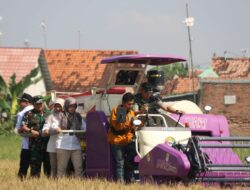 Lahan Tidur 10 Tahun di Pekalongan Kembali Produktif