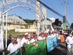 Gaji Pensiun Cuma Rp150 Ribu, Purnakarya PTPN IX Jalan Kaki Temui Presiden