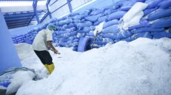Swasembada Garam Didorong, BUMD Jateng Serap Puluhan Ribu Ton Garam dari Petambak Lokal