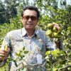 Agrowisata Clapar Siap Manjakan Pecinta Jeruk
