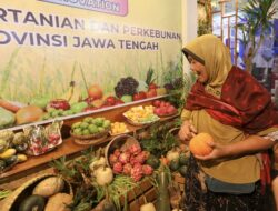 Pangan Murah di Jateng Fair 2025 Diserbu Pengunjung