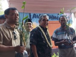 Tanggulangi Rob Pantura, Ketua MPR Ahmad Muzani Galakan Pagar Mangrove