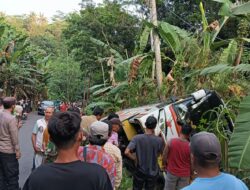 Bus Pariwisata Terperosok ke Parit Usai Hadiri Kondangan di Pecalungan Batang