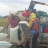 Bulog Tegal Ngebut Serap Beras Petani, Target 90 Ribu Ton!