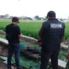 Polisi Evakuasi Mayat Laki-Laki Umur 68 Tahun yang Ditemukan di Saluran Irigasi