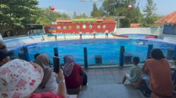 Libur Sekolah, Safari Beach Jateng Batang Jadi Destinasi Favorit
