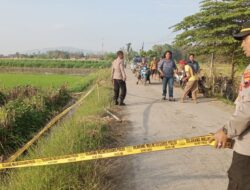 Tawuran Remaja di Brebes, Satu Orang Tewas Ditusuk di Tengah Sawah