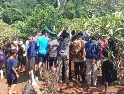 Siswa SD di Pekalongan Meninggal Usai Digigit Ular Weling, Keluarga Tuntut Penjelasan RSUD Kajen
