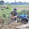 Bupati Targetkan Pemalang Lepas dari Stigma Kota Kotor