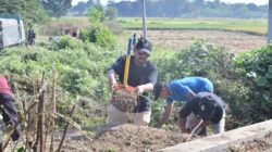 Bupati Targetkan Pemalang Lepas dari Stigma Kota Kotor