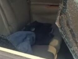 Modus Pecah Kaca, Mobil Kepala SMK di Brebes Dibobol Rp 150 Juta Raib