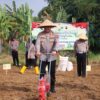 Polres Pekalongan Gandeng Ponpes Tanam Jagung, Dukung Ketahanan Pangan Nasional