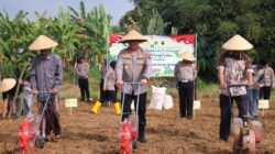 Polres Pekalongan Gandeng Ponpes Tanam Jagung, Dukung Ketahanan Pangan Nasional