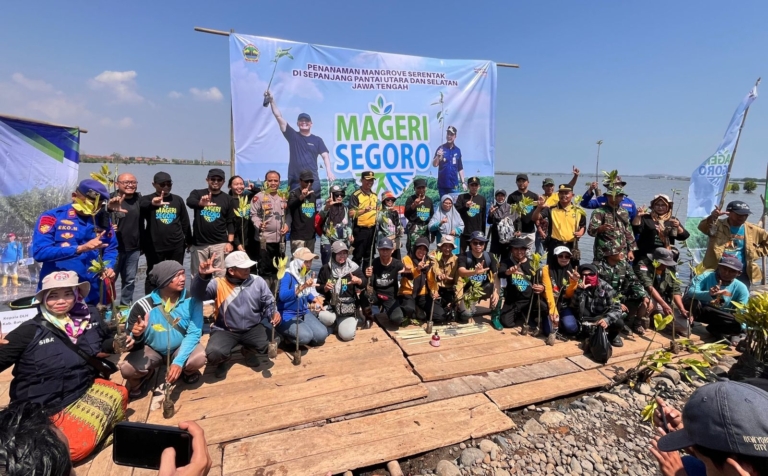 Mangrove Tumbuh, Harapan Baru untuk Pesisir Batang dari Program Mageri Segoro