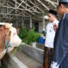 RPH Halal MAJT MAS Diresmikan, Perkuat Ekosistem Produk Halal di Jawa Tengah