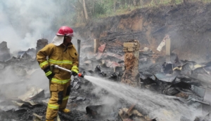 Kandang di Belik Pemalang Hangus Terbakar, Ribuan Ayam Ludes Terpanggang