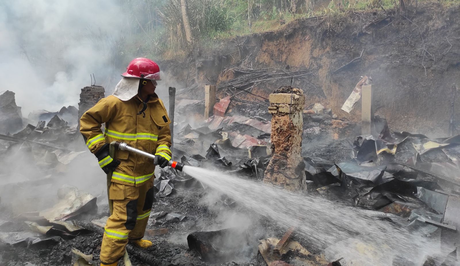 Kandang di Belik Pemalang Hangus Terbakar, Ribuan Ayam Ludes Terpanggang