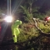 Tutup Jalan Utama Karangdadap-Doro! Pohon Tumbang Malam Hari, Polisi dan Warga Turun Tangan Cepat